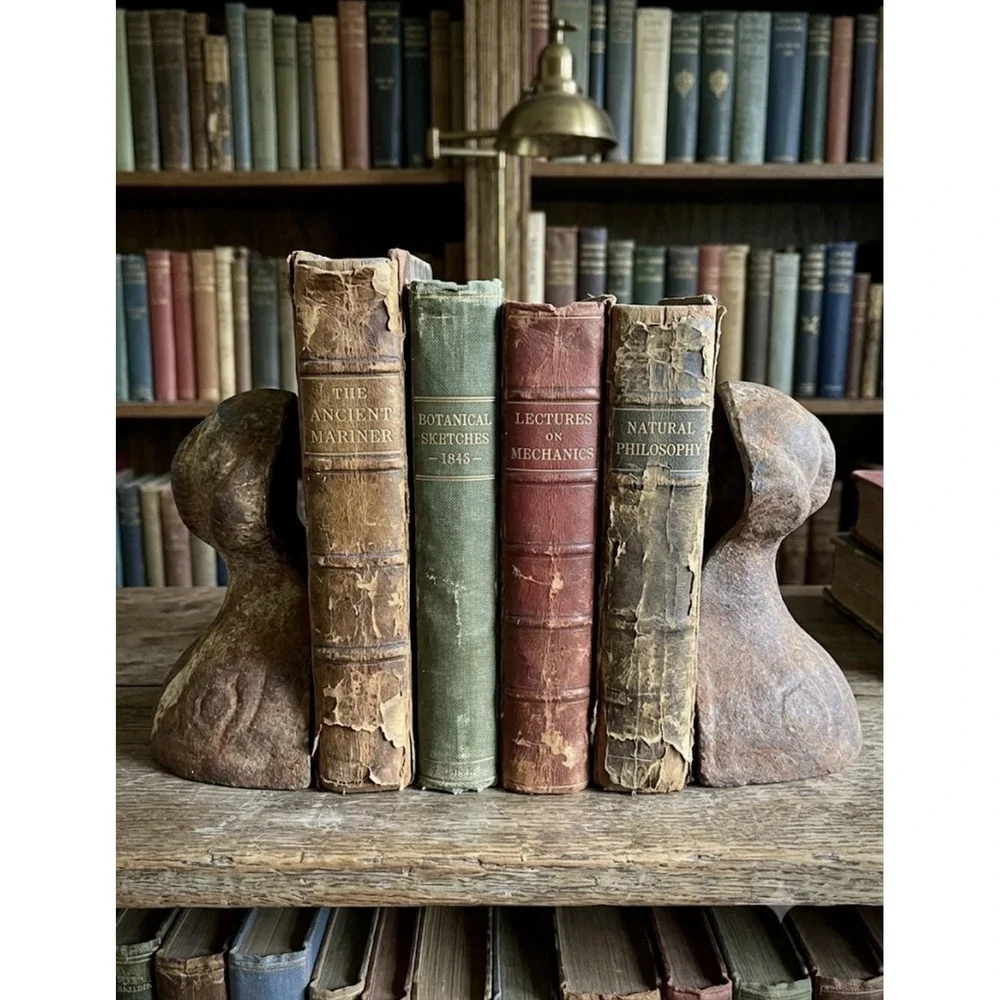 Set of 2 Antique Cast Iron Claw Feet for Bath Tub Patina Book Ends Rustic